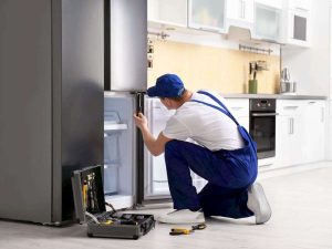 Fridge - Refrigerator & Freezer Repair